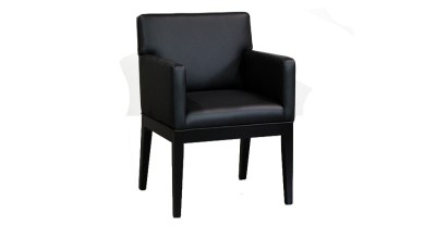 Morgan Arm Chair